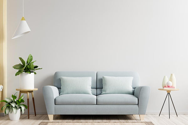 Best Professional Fashion Store